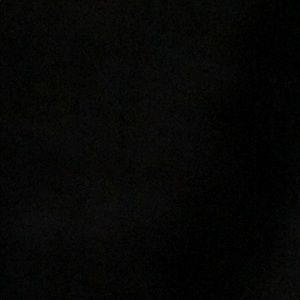 Meet your Posher, Mollie